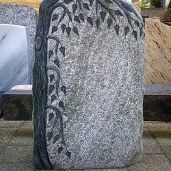 Maggia getrommelt mit Baum