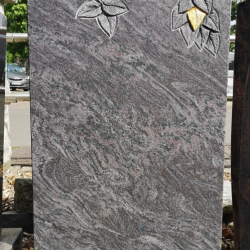 2210007N2680