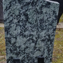 2210004N790